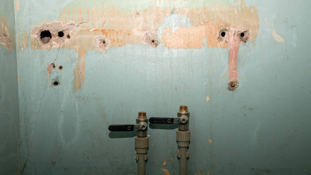 Best Crawl Space Water Damage Solutions in Bull Run Mountain Estates, VA